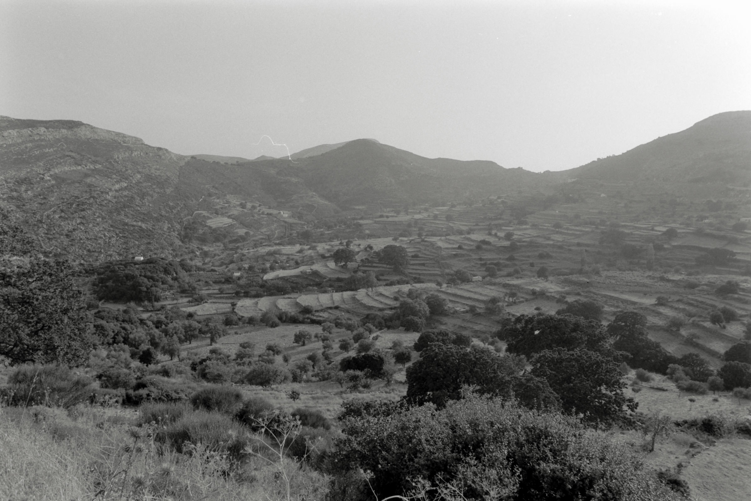 AHP F1991 09 006 sc250507 img35 NLP